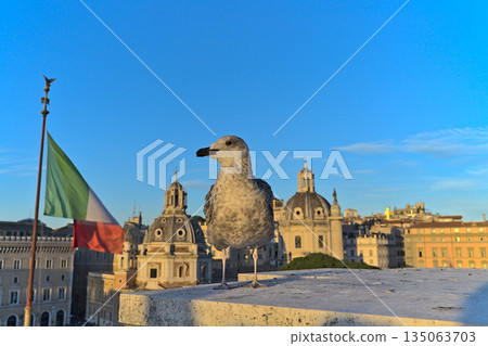 View at the Basilica Ulpia from Altare della Patria 135063703
