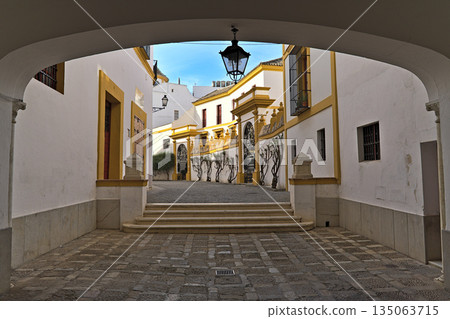 Alley inside of the Plaza de toros de la Real Maestranza de Caballeria de Sevilla Alley inside of the Plaza de toros de la Real Maestranza de Caballeria de Sevilla 135063715