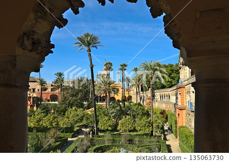 View at the Jardin de la Danza of the Alkazar of Seville View at the Jardin de la Danza of the Alkazar of Seville 135063730