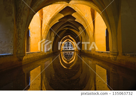 Baths of Dona Maria de Padilla in the Alkazar of Sevilla Baths of Dona Maria de Padilla in the Alkazar of Sevilla 135063732