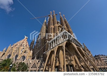 The famous church Sagrada Familia in Barcelona 135063782