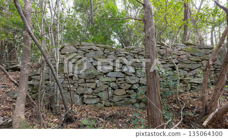 Sanokurakake Castle Ruins 135064300