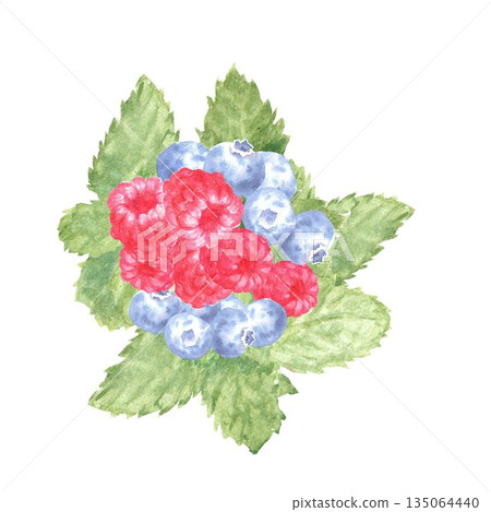 A hand-painted watercolor composition of blueberries, raspberries, strawberries, and mint on an isolated background. Simple clip art of a berry topping for desserts and baked goods. A hand-painted watercolor composition of blueberries, raspberries, strawberries, and mint on an isolated background. Simple clip art of a berry topping for desserts and baked goods. 135064440