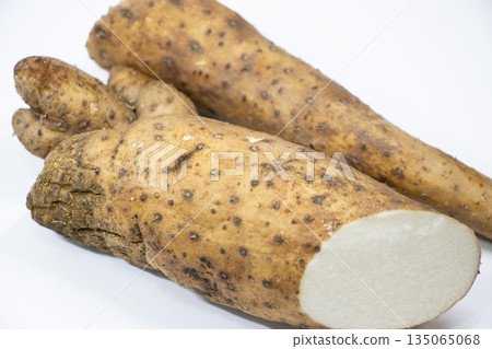 Yam Yam 135065068