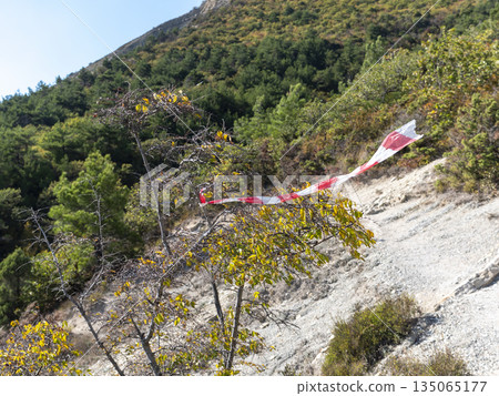 Red and white ribbon tied to a tree branch in the forest, marking a hiking route or trail direction Red and white ribbon tied to a tree branch in the forest, marking a hiking route or trail direction 135065177