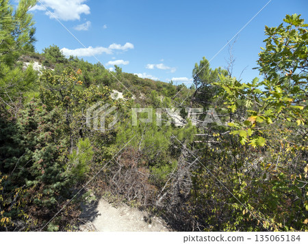 Panoramic view of the sea from a rocky hillside with pine trees under a clear blue summer sky Panoramic view of the sea from a rocky hillside with pine trees under a clear blue summer sky 135065184