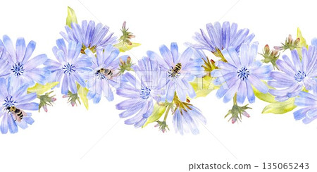 Seamless horizontal border with pastel blue flowers chicory, stems and leaves, watercolor illustration on isolated background. pattern source of decaffeinated drink for healthy eating and vegan diet. Seamless horizontal border with pastel blue flowers chicory, stems and leaves, watercolor illustration on isolated background. pattern source of decaffeinated drink for healthy eating and vegan diet. 135065243