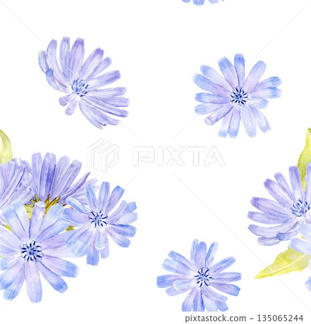 Seamless pattern with pastel blue chicory flowers, watercolor illustration on isolated background source of decaffeinated drink for healthy eating and vegan diet. 135065244