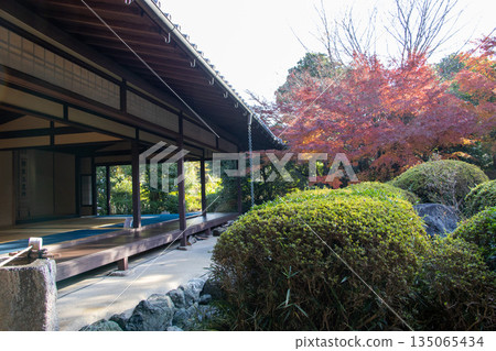 Jozanen日式花園的秋葉 135065434