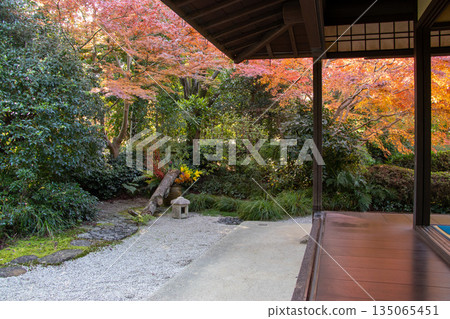 Jozanen日式花園的秋葉 135065451