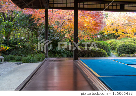 Jozanen Japanese Garden Autumn leaves Jozanen Japanese Garden Autumn leaves 135065452