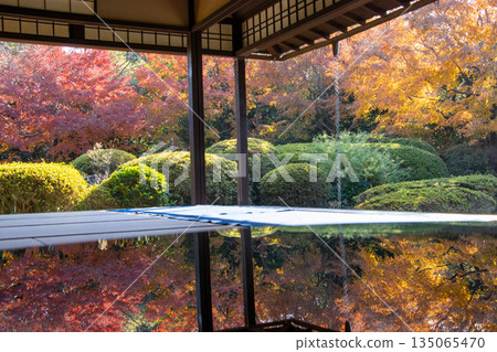 Jozanen Japanese Garden Autumn leaves Jozanen Japanese Garden Autumn leaves 135065470