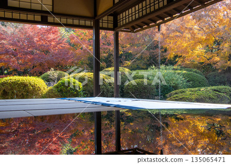 Jozanen日式花園的秋葉 Jozanen日式花園的秋葉 135065471