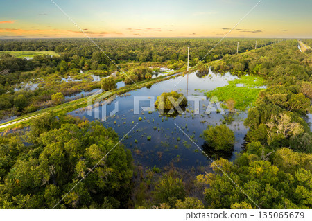 Florida wetlands with water between green wild vegetation. Tropical ecosystem at sunset Florida wetlands with water between green wild vegetation. Tropical ecosystem at sunset 135065679