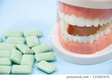 牙齦牙齒模型 135065978
