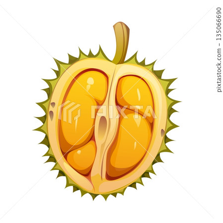 Cartoon tropical ripe raw half of durian fruit. Isolated vector spiky green shell opened to reveal soft yellow pulp inside. Exotic fruit with strong aroma and creamy texture, natural edible plant Cartoon tropical ripe raw half of durian fruit. Isolated vector spiky green shell opened to reveal soft yellow pulp inside. Exotic fruit with strong aroma and creamy texture, natural edible plant 135066690