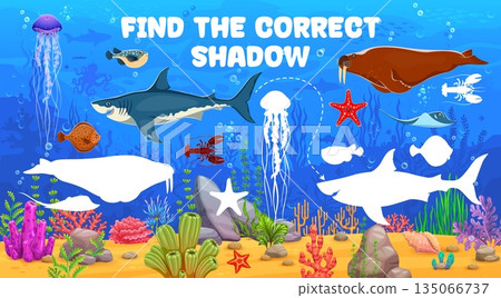 Game worksheet to find correct shadow of sea animals at ocean underwater, vector quiz. Kids cartoon game to find same silhouette of funny shark fish and jellyfish with stingray and starfish 135066737
