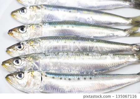 Sardines Sardines 135067116
