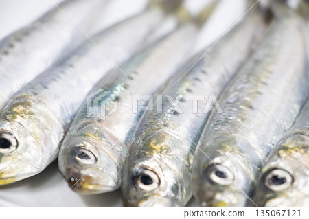 Sardines Sardines 135067121