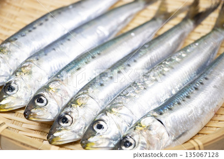Sardines Sardines 135067128