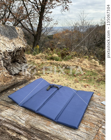 A blue folding outdoor cushion placed on a log in nature A blue folding outdoor cushion placed on a log in nature 135067384