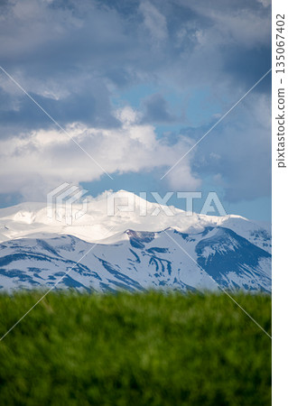 春意盎然的草甸與陽光照耀下的雪山之巔 春意盎然的草甸與陽光照耀下的雪山之巔 135067402