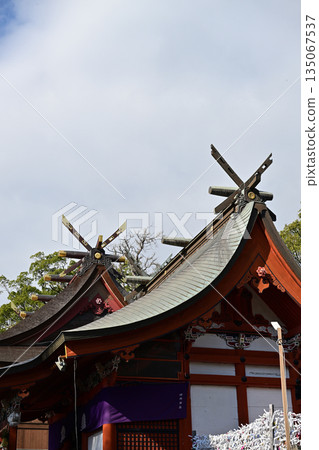 New Year at Kagoshima Shrine 135067537