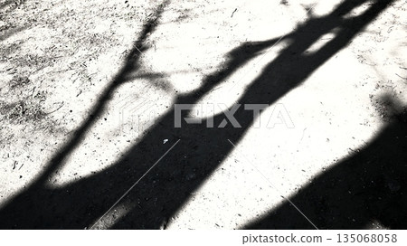 shadow of a tree on the ground shadow of a tree on the ground 135068058