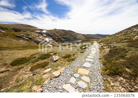 Blue Lake Walking Track in Australia Blue Lake Walking Track in Australia 135068076