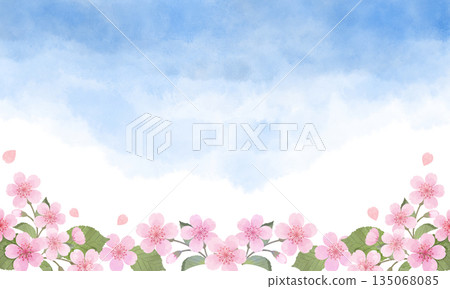 藍天和櫻花花瓣 135068085