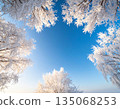 Trees covered with hoarfrost and blue sky 135068253