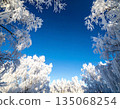Trees covered with hoarfrost and blue sky 135068254