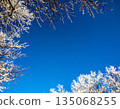 Trees covered with hoarfrost and blue sky 135068255