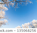 Trees covered with hoarfrost and blue sky 135068256