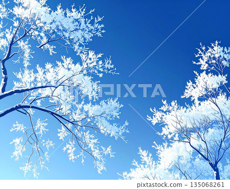 Trees covered with hoarfrost and blue sky Trees covered with hoarfrost and blue sky 135068261
