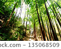 Kyoto Prefecture, Fushimi Inari Taisha Shrine, Bamboo Underpass, Fukakusa Yabunouchicho, Fushimi Ward, Kyoto City, February 2022 135068509