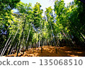 Kyoto Prefecture, Fushimi Inari Taisha Shrine, Bamboo Underpass, Fukakusa Yabunouchicho, Fushimi Ward, Kyoto City, February 2022 135068510