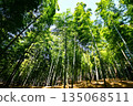 Kyoto Prefecture, Fushimi Inari Taisha Shrine, Bamboo Underpass, Fukakusa Yabunouchicho, Fushimi Ward, Kyoto City, February 2022 135068511