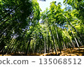 Kyoto Prefecture, Fushimi Inari Taisha Shrine, Bamboo Underpass, Fukakusa Yabunouchicho, Fushimi Ward, Kyoto City, February 2022 135068512