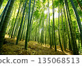 Kyoto Prefecture, Fushimi Inari Taisha Shrine, Bamboo Underpass, Fukakusa Yabunouchicho, Fushimi Ward, Kyoto City, February 2022 135068513