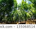 Kyoto Prefecture, Fushimi Inari Taisha Shrine, Bamboo Underpass, Fukakusa Yabunouchicho, Fushimi Ward, Kyoto City, February 2022 135068514