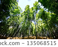 Kyoto Prefecture, Fushimi Inari Taisha Shrine, Bamboo Underpass, Fukakusa Yabunouchicho, Fushimi Ward, Kyoto City, February 2022 135068515