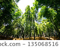 Kyoto Prefecture, Fushimi Inari Taisha Shrine, Bamboo Underpass, Fukakusa Yabunouchicho, Fushimi Ward, Kyoto City, February 2022 135068516