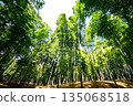 Kyoto Prefecture, Fushimi Inari Taisha Shrine, Bamboo Underpass, Fukakusa Yabunouchicho, Fushimi Ward, Kyoto City, February 2022 135068518