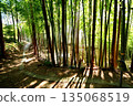 Kyoto Prefecture, Fushimi Inari Taisha Shrine, Bamboo Underpass, Fukakusa Yabunouchicho, Fushimi Ward, Kyoto City, February 2022 135068519