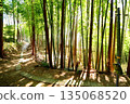 Kyoto Prefecture, Fushimi Inari Taisha Shrine, Bamboo Underpass, Fukakusa Yabunouchicho, Fushimi Ward, Kyoto City, February 2022 135068520