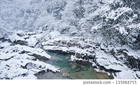 巽川峽谷(冬季) 巽川峽谷(冬季) 135068755