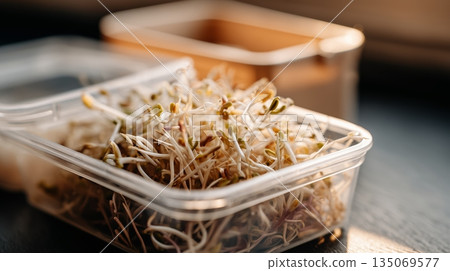 Fresh bean sprouts in a clear container on a wooden surface in a kitchen setting Fresh bean sprouts in a clear container on a wooden surface in a kitchen setting 135069577
