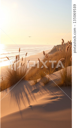 golden grass grows on the sandy seashore 135069589
