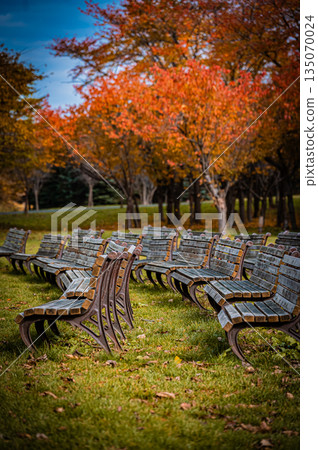 Sapporo, Hokkaido | Autumn park with fallen leaves and benches Sapporo, Hokkaido | Autumn park with fallen leaves and benches 135070024